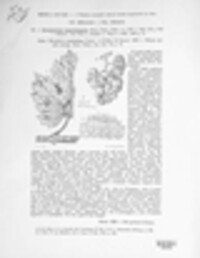 Elsinoe ampelina image